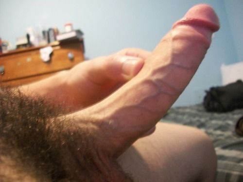 Image #2148